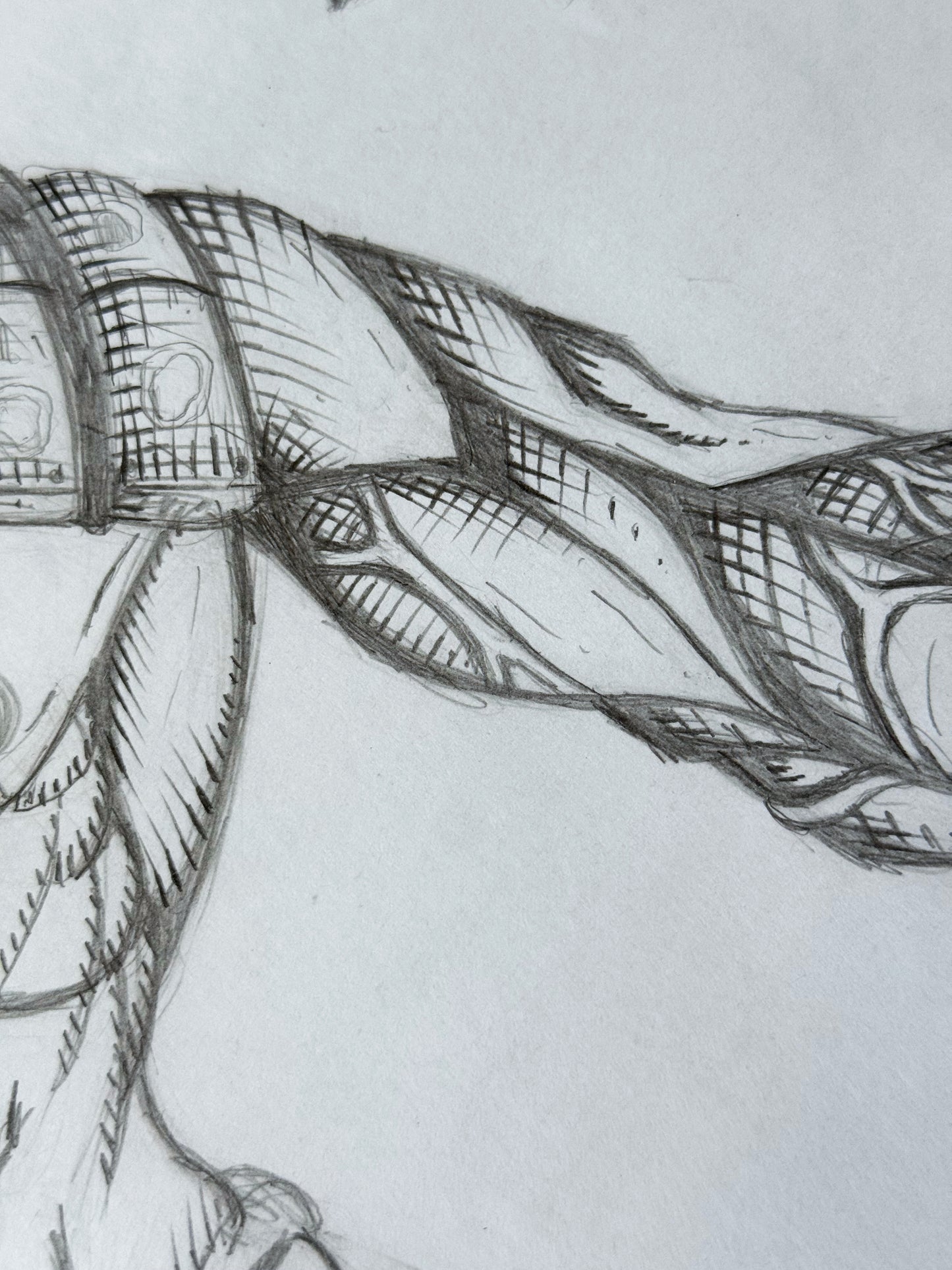Römer Artwork!